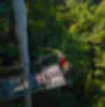 The Best of Mt Tamborine