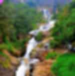 Full day tour of Ella, Nine Arch bridge, Ravana Falls & Little Adam's Peak