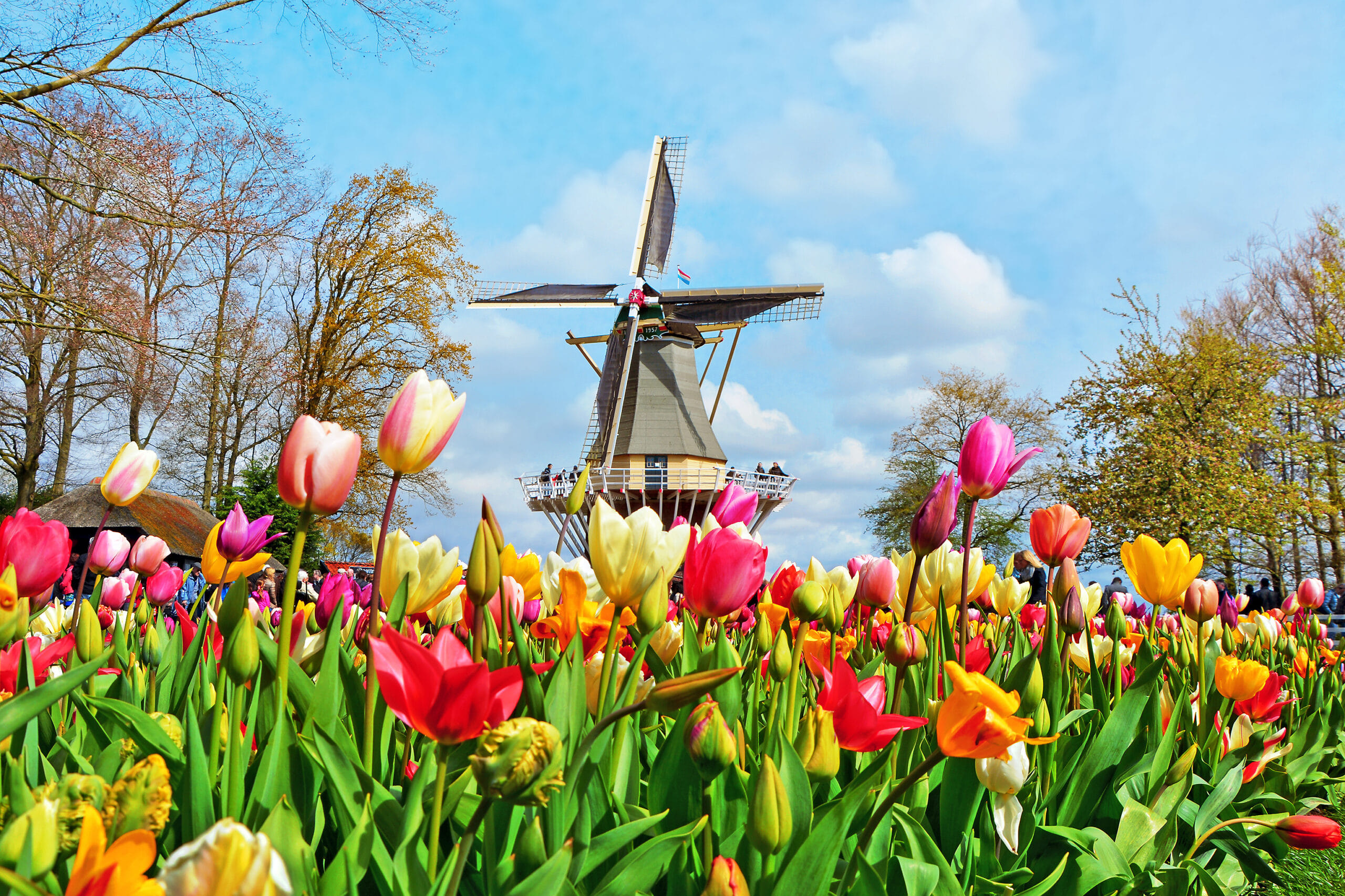 Visit Keukenhof Gardens (till 11th May),Visit picturesque Dutch Village of Windmills and Tradition (from 12th May), and Explore Amsterdam with Canal Cruise. Drive to Germany.