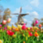 Visit Keukenhof Gardens (till 11th May),Visit picturesque Dutch Village of Windmills and Tradition (from 12th May), and Explore Amsterdam with Canal Cruise. Drive to Germany.