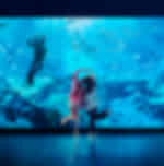 Singapore Oceanarium tickets only