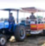 Tractor Tour-Safari Ostrich Show Farm