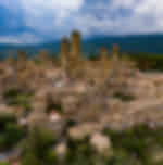Pisa, Siena, San Gimignano with Lunch and Wine in Chianti