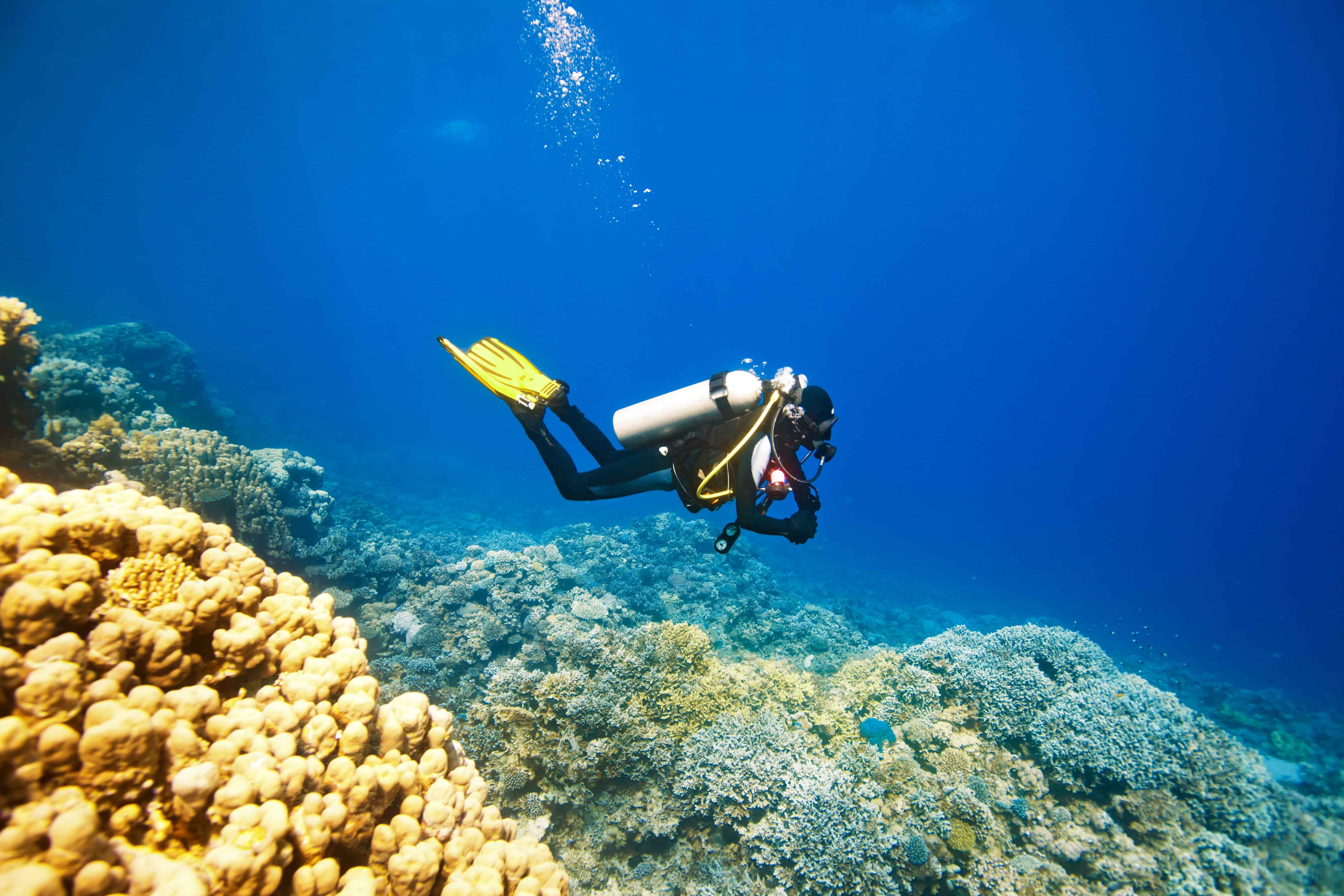 Parasailing and Scuba Diving (SIC Transfer)