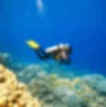 For Refresher Diver: Scuba Diving 1x Dive at the Liberty Shipwreck with Private Transfer