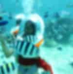 Sea walker with Shared transfers