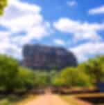 Sigiriya Day Tour & Spice Gardens in Matale