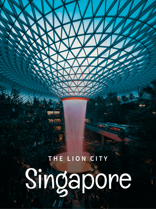 Singapore Tour Packages From Srinagar