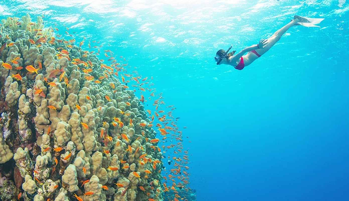 Snorkeling trip at Giftun Island with Shared Transfers