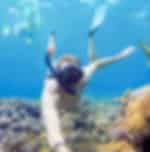 Full Day Snorkeling at Hurgada with Shared Transfers