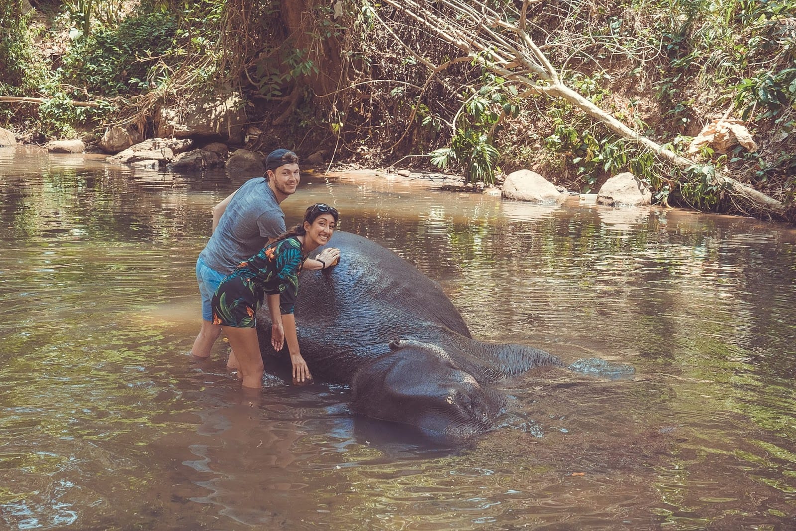 Scenic Escapes Pinnawala and Spice Garden