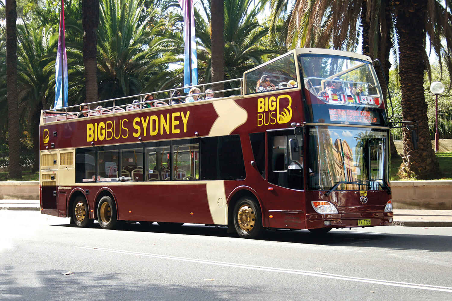 Big Bus Hop on Hop Off Sydney Discover