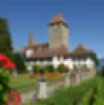 Visit Schlosskirche Interlaken