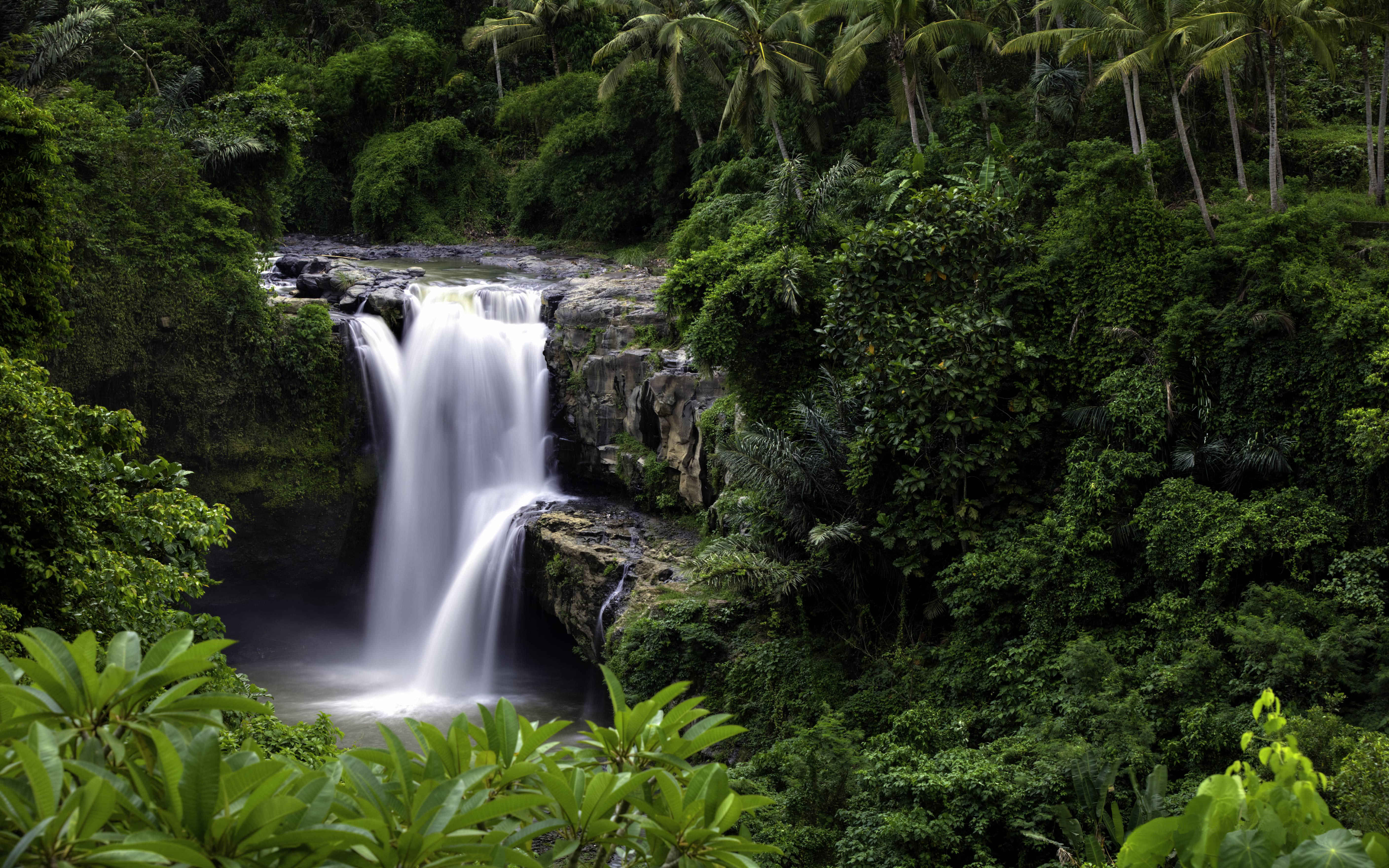 Kintamani Volcano, Ubud art market, Coffee Plantation and Tegenungan water fall With Private Transfers