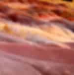 Terre Des 7 Couleurs
