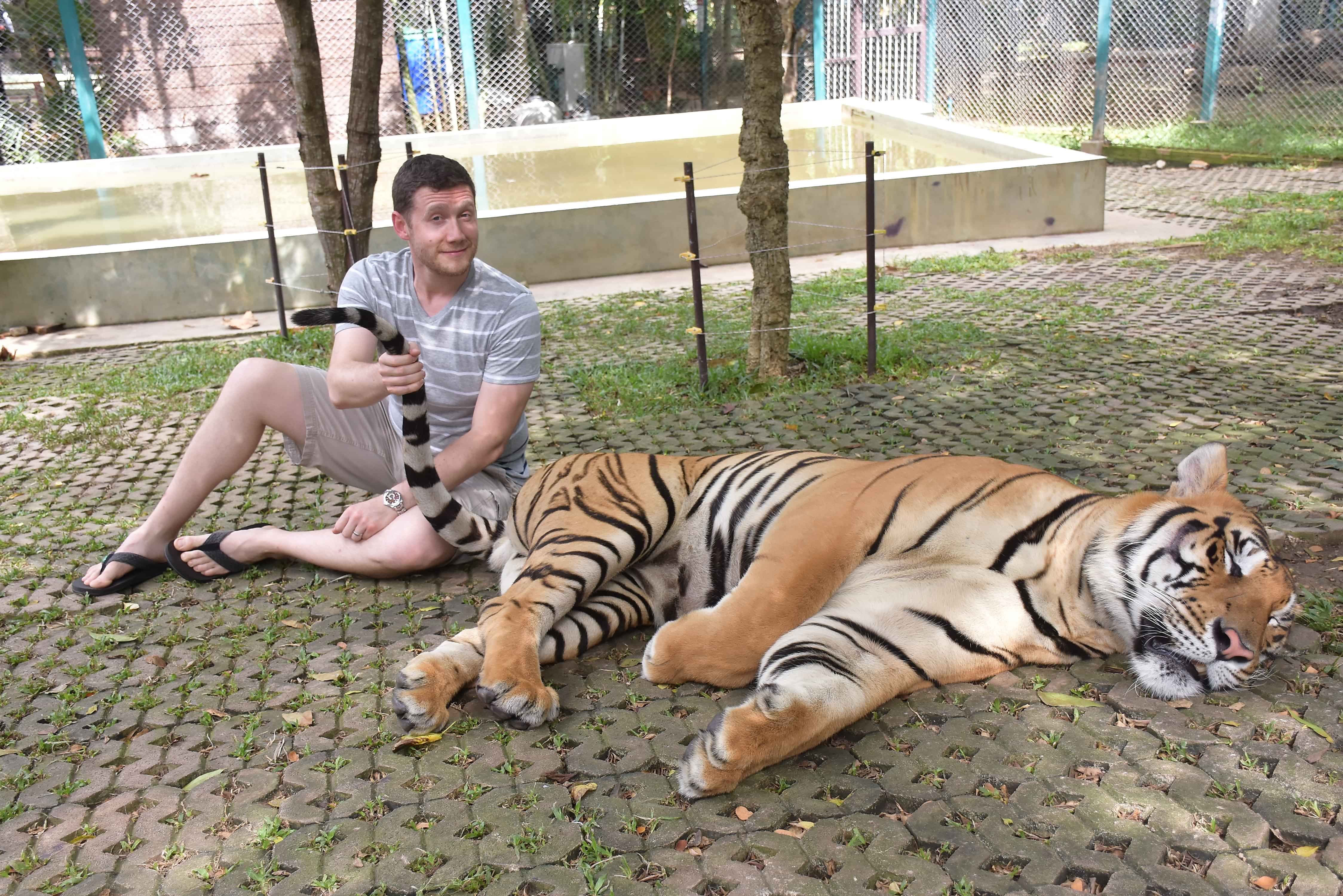 Phuket Tiger Kingdom - Cheetah With Private Transfer