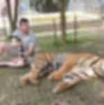 Phuket Tiger Kingdom - Cheetah With Private Transfer