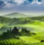Basic - Tuscany In A Day: San Gimignano, Pisa With Lunch and wine tasting - Shared Transfer
