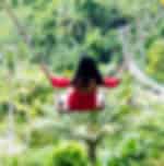 Swing at Bali Swing (Active Package) with Local Lunch