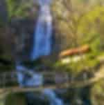 Makhuntseti Waterfalls With Shared Transfers