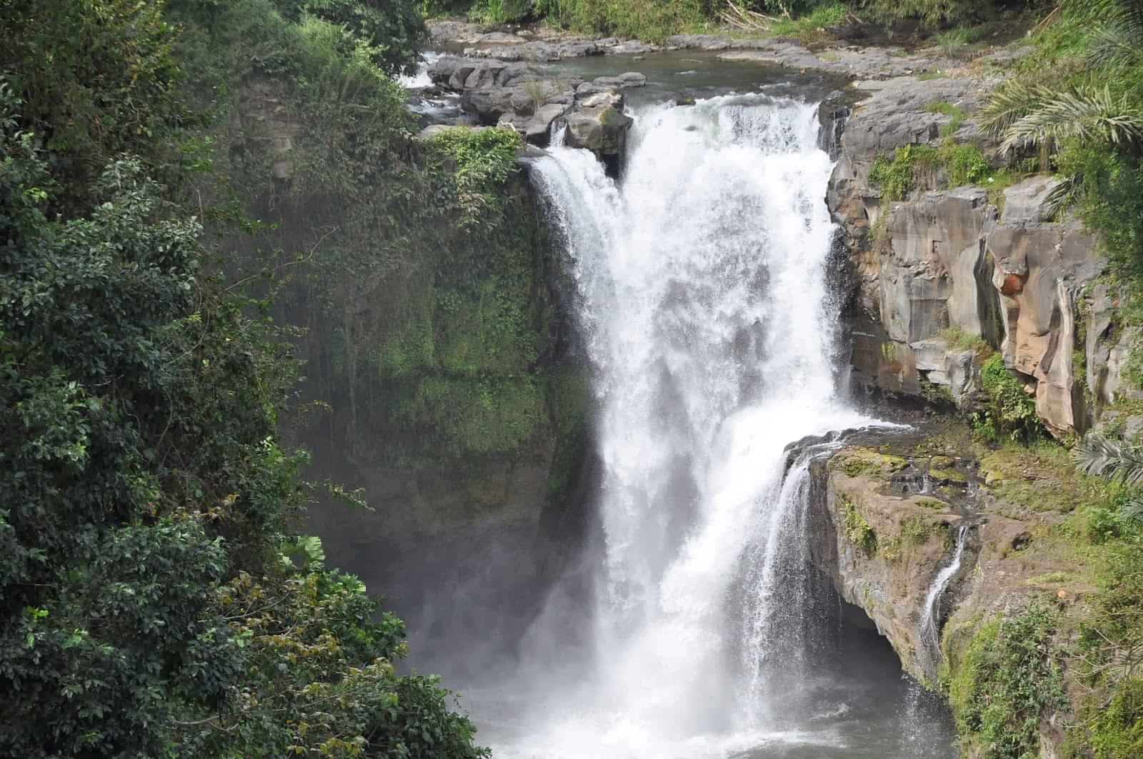 Campuhan Ridge, Ubud Market, Ubud Palace, Swing (Bali Swing), Lunch, Tegalalang and Tirtha Empul With Private Transfers