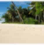 Tropical Bliss In Bentota