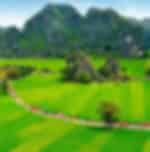 Full Day Tour To Ninh Binh (Trang An - Bai Dinh) With Private Transfers