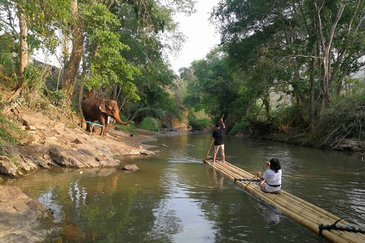 Chiang Mai-Elephant Sanctuary & Bamboo Rafting (Shared Transfer)