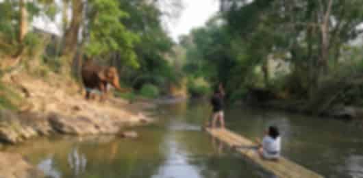 Chiang Mai 5 Nights 6 Days Itinerary