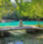 Krabi-Jungle Tour (Emerald pool, Hot spring waterfall, Tiger Cave) with Lunch (Excluding Guide & National Park Fee 650THB ) Shared Transfers