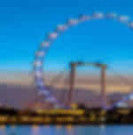 Singapore Flyer and Time capsule with Shared Transfers