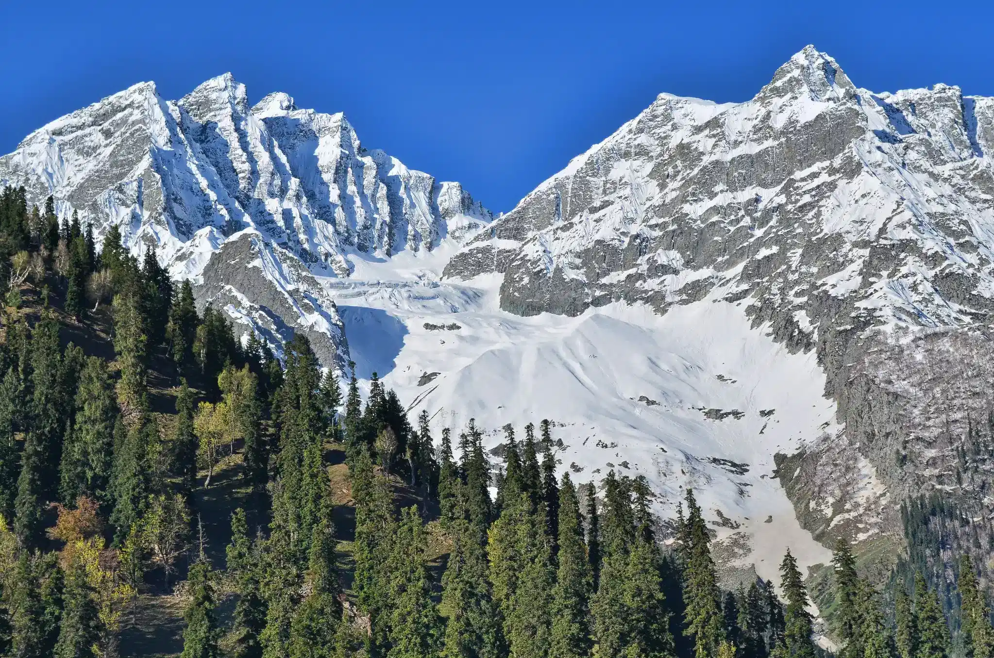 Srinagar to Sonmarg via Z-Morh Tunnel with Thajivas Glacier on Pony
