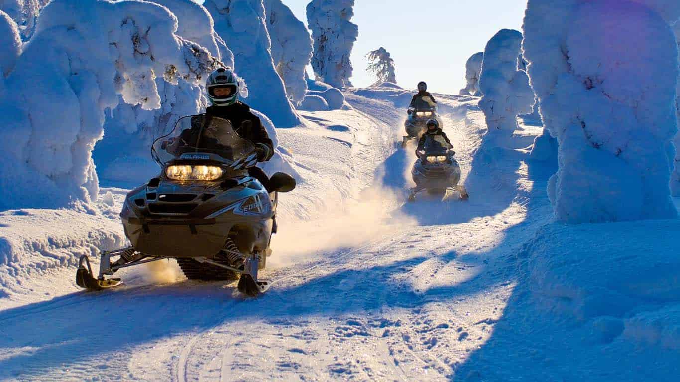 Snowmobile Safari - 2 hours