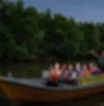 Kuala Selangor Fireflies include boat ride and dinner at local restaurant with private transfers