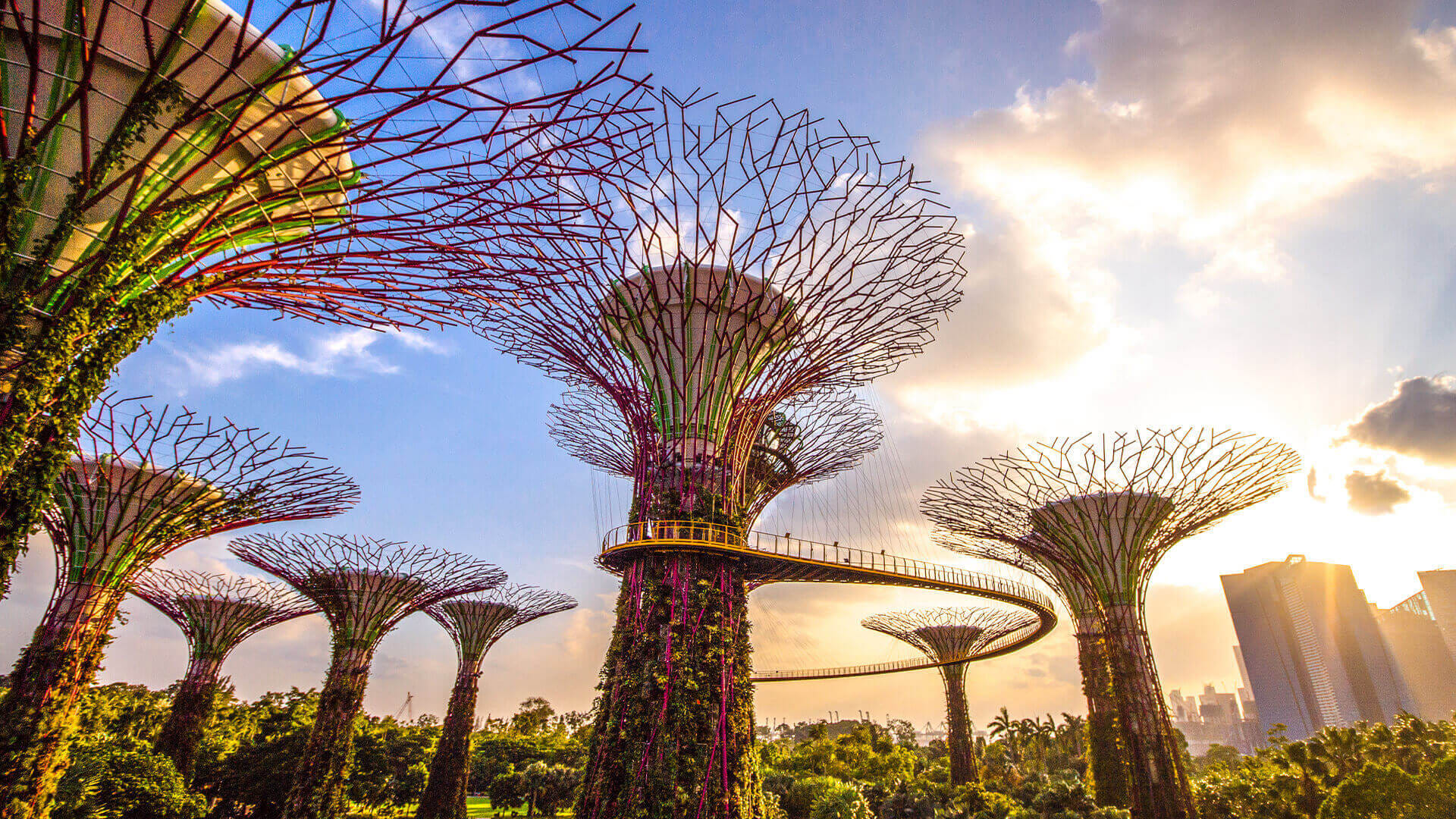 Gardens by the bay OCBC Skyway ticket only