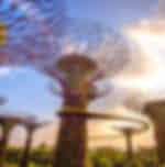 Gardens by the bay OCBC Skyway ticket only