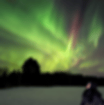 Tromso: Northern Lights Photography Tour - Tromso: Northern Lights Photography Tour