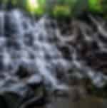 Kintamani volcano View Point , Kanto Lampo Waterfall , Ubud art market , Coffee plantation and Tegenungan Waterfall
