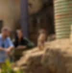 Auckland Zoo General Admission Tickets