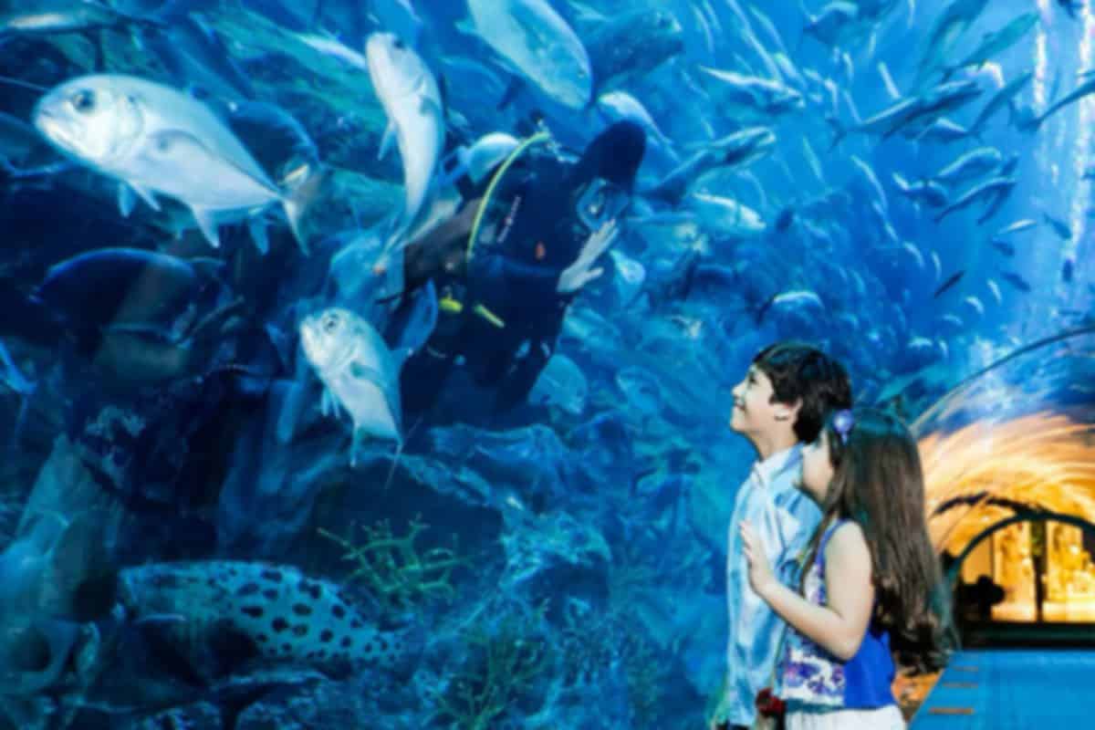 Itinerary gallery 1