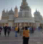 Global Village + Miracle Garden with Private Transfers