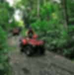 Ultimate Bali Experience Swing at My Swing, River Rafting with Lunch and ATV Tandem ride at Bali Tarantula ATV (1 vehicle for 2 pax)