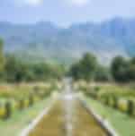 Srinagar Mughal Gardens & Heritage Experience