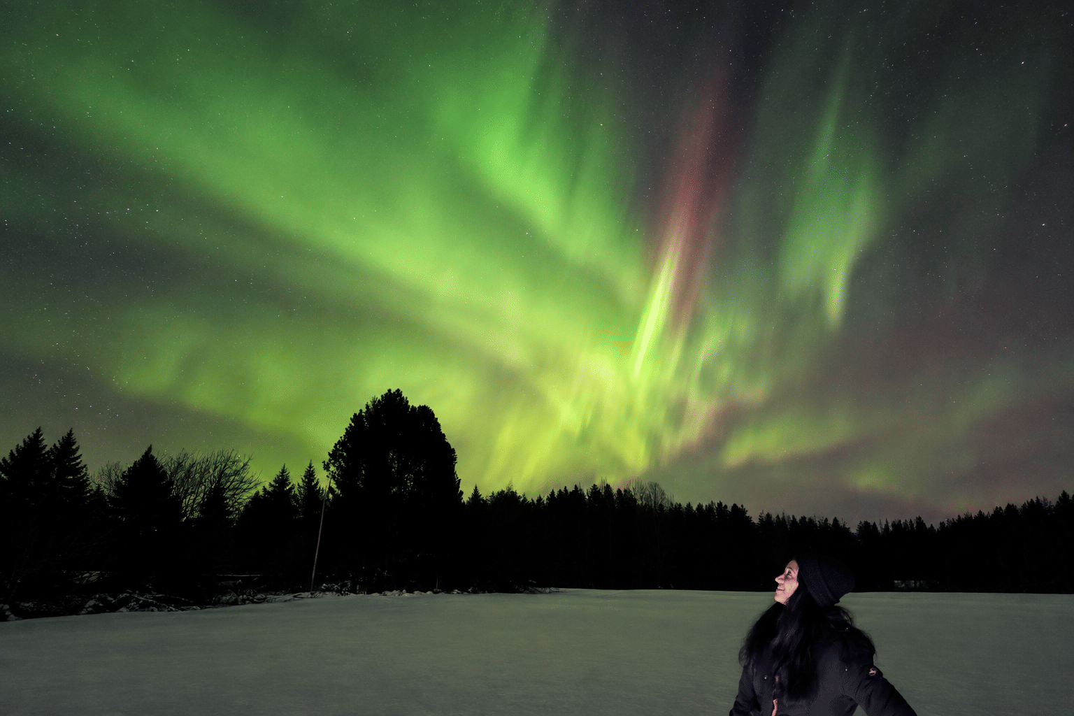 Rovaniemi: Northern Lights & Lapland Scenic Adventure, BBQ - Rovaniemi: Northern Lights & Lapland Scenic Adventure, BBQ