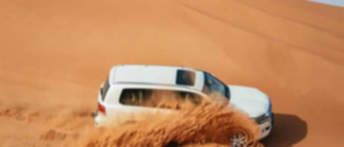 Desert Safari