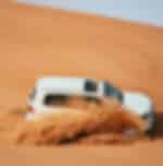 Desert Safari - Desert Safari Sharing Transfers
