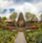 Saraswati temple, Ubud palace with Private Transfers