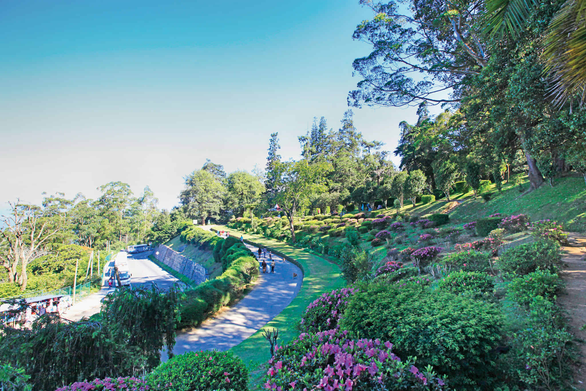 Nuwara Eliya city tour : Gregory lake, Tea Factory , Seetha Eliya and Hakgala Garden ,Strawberry garden , Sri Sakhthi Hanuman Temple