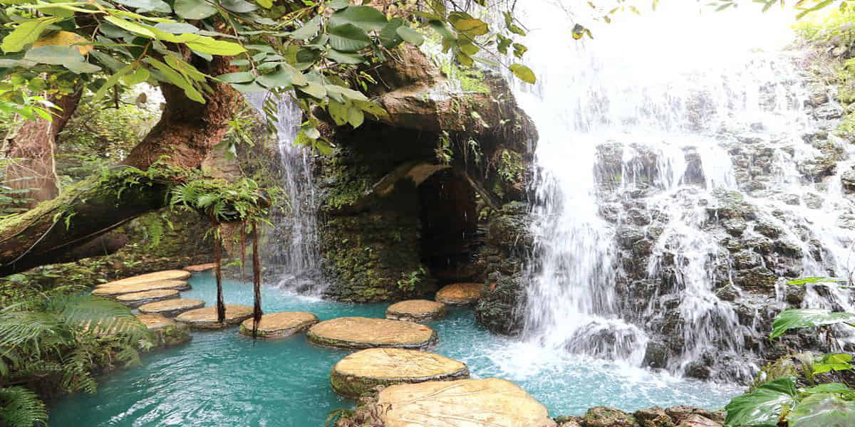 Chiang Mai-Dantewada Waterfall Park with Private Transfer