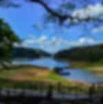 Periyar Wildlife Sanctuary - Jungle Boat Ride